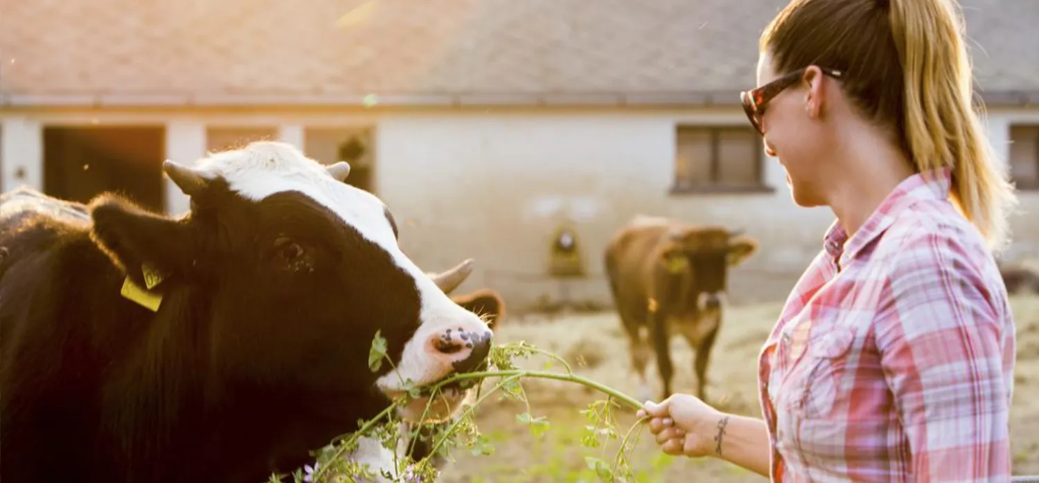 7 Vezér Történelmi Kalandpark és Garabonciás Farm